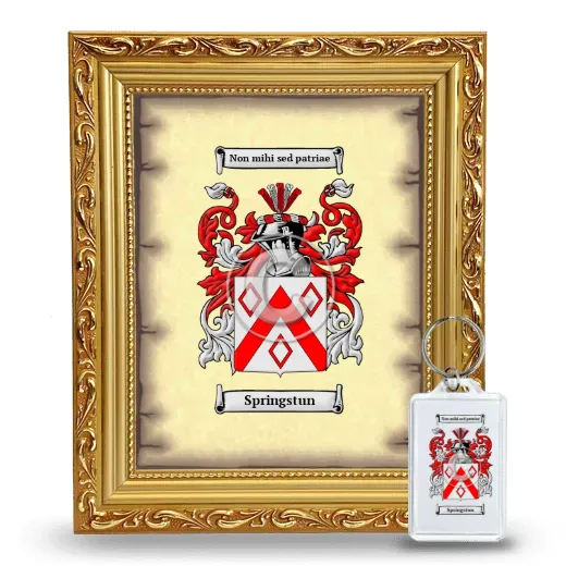 Springstun Framed Coat of Arms and Keychain - Gold