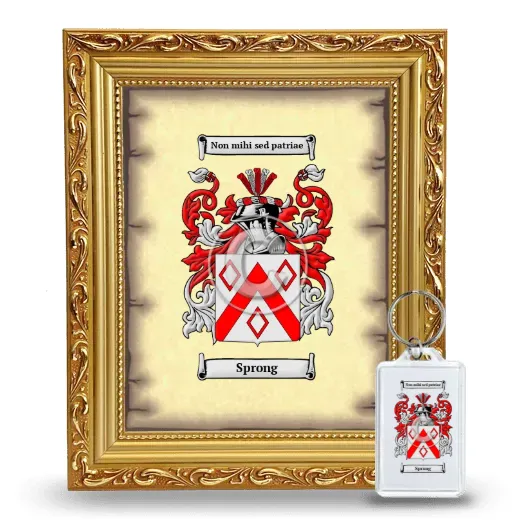 Sprong Framed Coat of Arms and Keychain - Gold