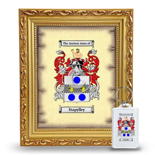 Stapylley Framed Coat of Arms and Keychain - Gold