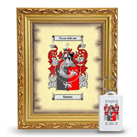 Steers Framed Coat of Arms and Keychain - Gold