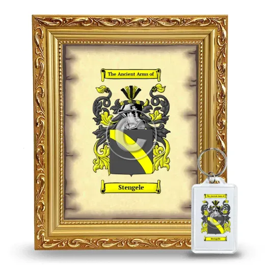 Stengele Framed Coat of Arms and Keychain - Gold