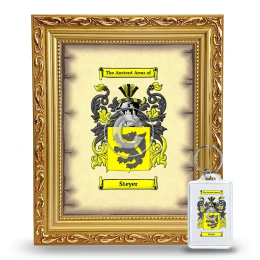 Steyer Framed Coat of Arms and Keychain - Gold