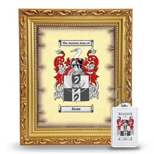Storr Framed Coat of Arms and Keychain - Gold