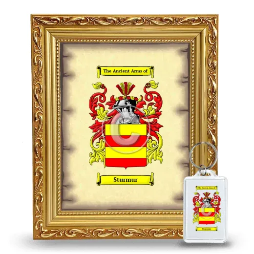 Sturmur Framed Coat of Arms and Keychain - Gold