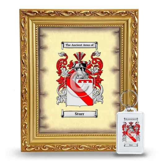Sturr Framed Coat of Arms and Keychain - Gold