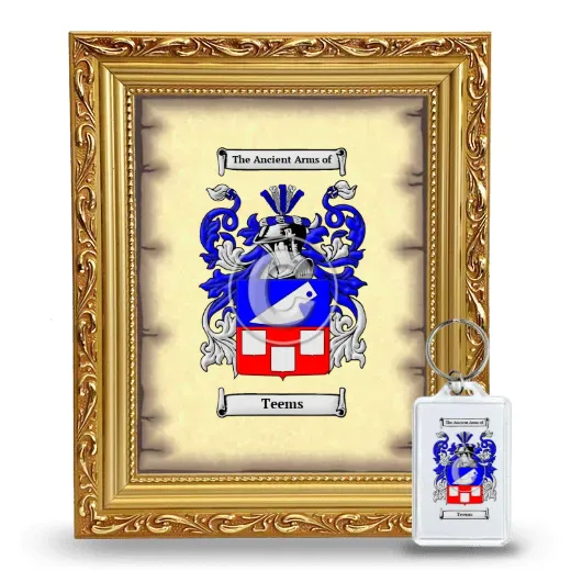 Teems Framed Coat of Arms and Keychain - Gold