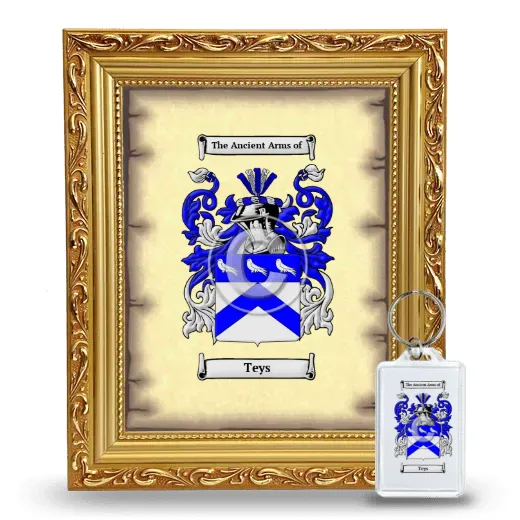 Teys Framed Coat of Arms and Keychain - Gold