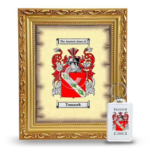 Tomasek Framed Coat of Arms and Keychain - Gold