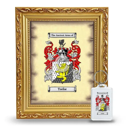 Trefor Framed Coat of Arms and Keychain - Gold