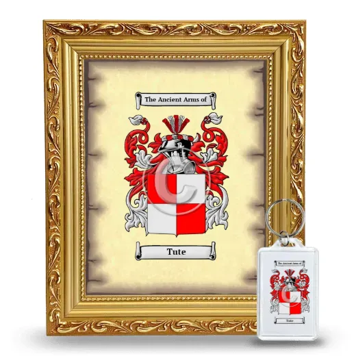 Tute Framed Coat of Arms and Keychain - Gold