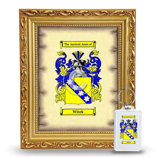 Witek Framed Coat of Arms and Keychain - Gold