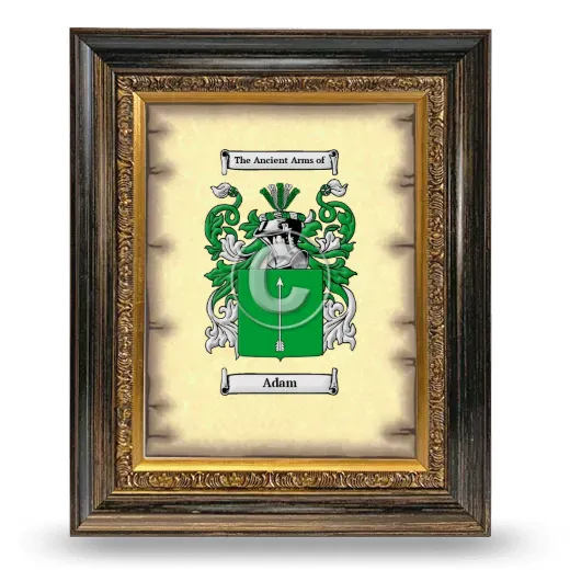 Adam Coat of Arms Framed - Heirloom