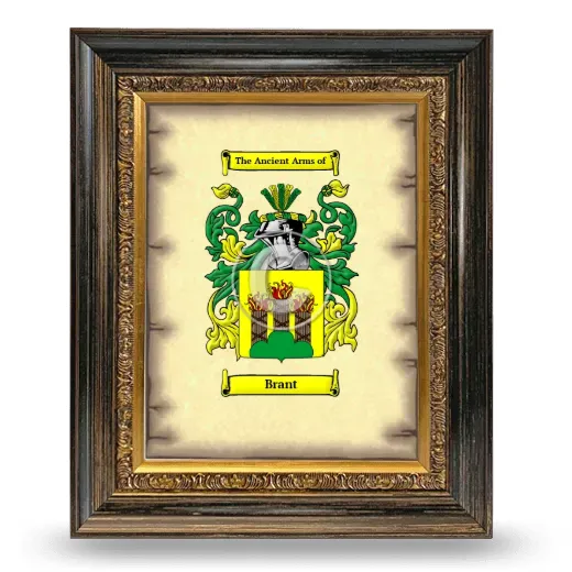 Brant Coat of Arms Framed - Heirloom