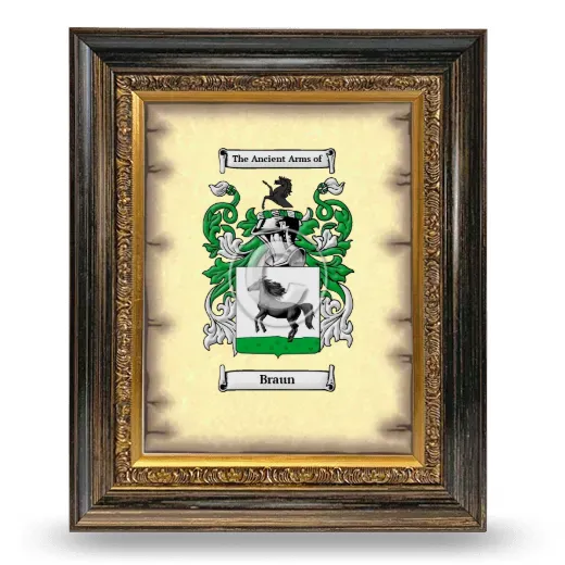 Braun Coat of Arms Framed - Heirloom
