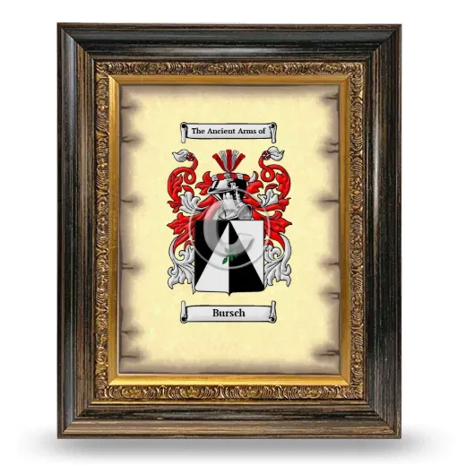 Bursch Coat of Arms Framed - Heirloom