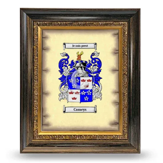 Cameys Coat of Arms Framed - Heirloom
