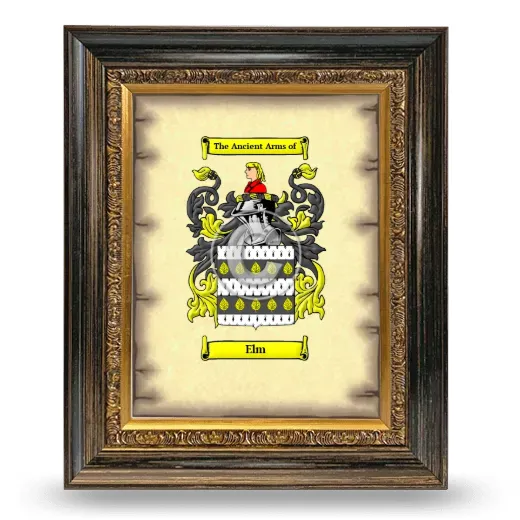 Elm Coat of Arms Framed - Heirloom