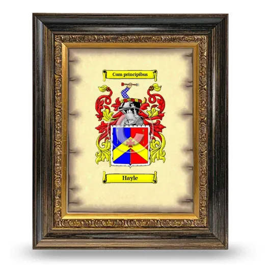 Hayle Coat of Arms Framed - Heirloom