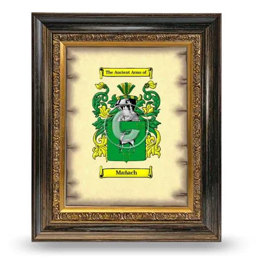 Mañach Coat of Arms Framed - Heirloom