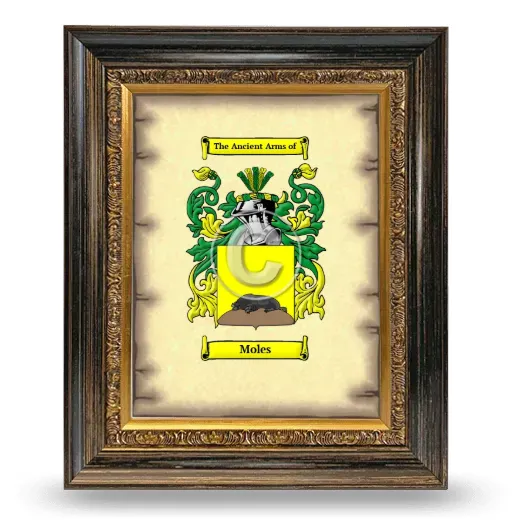 Moles Coat of Arms Framed - Heirloom