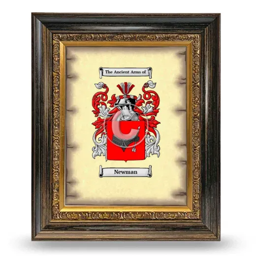 Newman Coat of Arms Framed - Heirloom