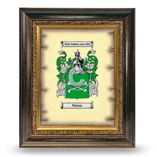 Nutan Coat of Arms Framed - Heirloom
