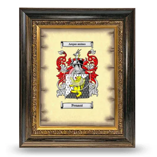 Penant Coat of Arms Framed - Heirloom