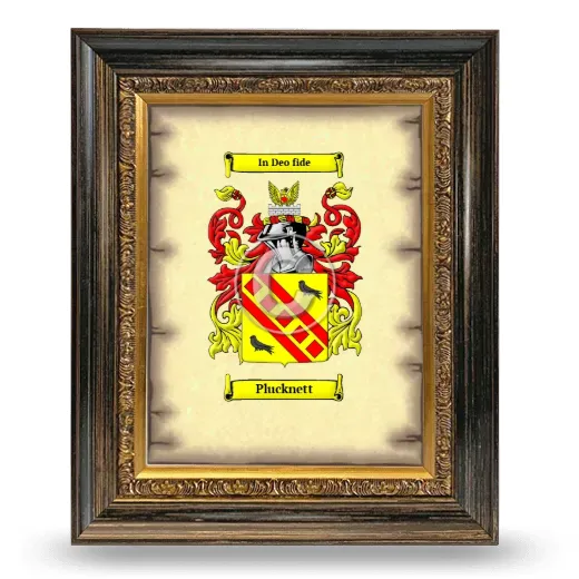 Plucknett Coat of Arms Framed - Heirloom