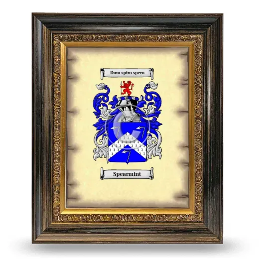 Spearmint Coat of Arms Framed - Heirloom