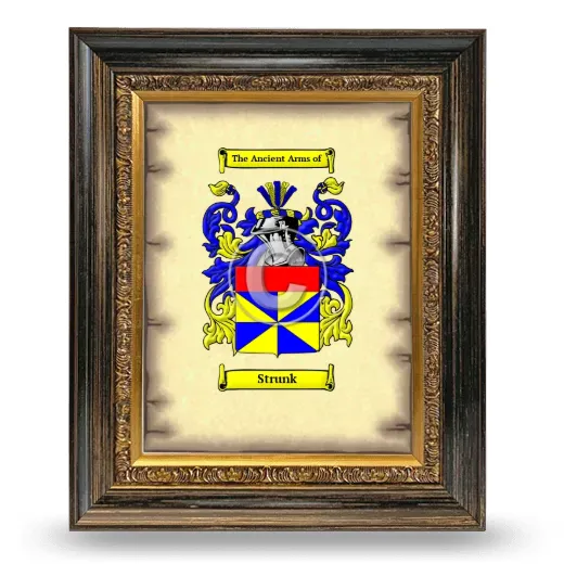 Strunk Coat of Arms Framed - Heirloom