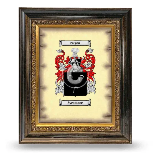 Sycamore Coat of Arms Framed - Heirloom