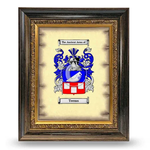 Teems Coat of Arms Framed - Heirloom