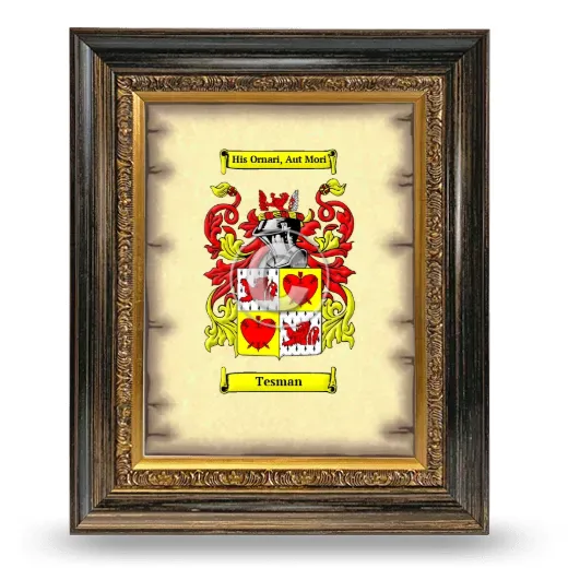 Tesman Coat of Arms Framed - Heirloom