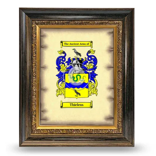 Thielens Coat of Arms Framed - Heirloom
