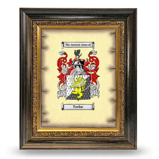 Trefor Coat of Arms Framed - Heirloom