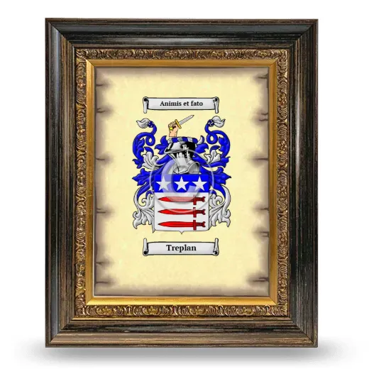 Treplan Coat of Arms Framed - Heirloom
