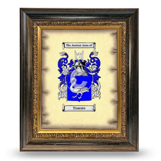 Troeste Coat of Arms Framed - Heirloom