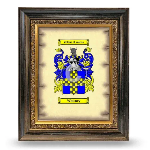 Whitney Coat of Arms Framed - Heirloom