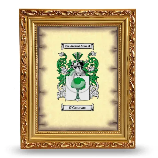 O'Canavan Coat of Arms Framed - Gold