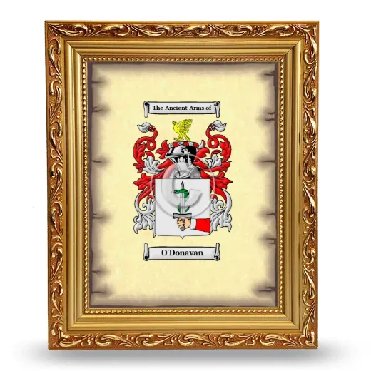 O'Donavan Coat of Arms Framed - Gold