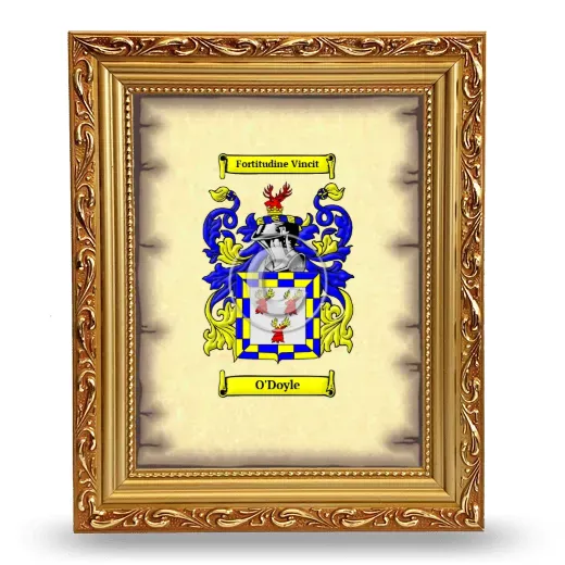 O'Doyle Coat of Arms Framed - Gold