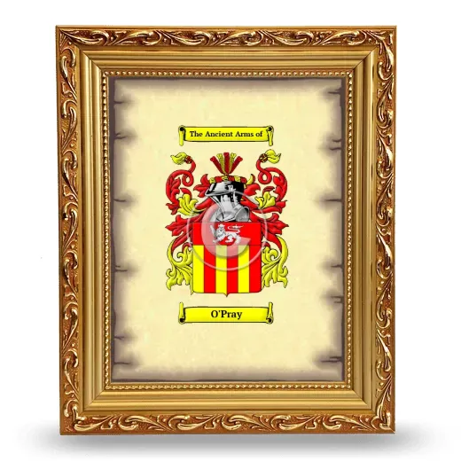 O'Pray Coat of Arms Framed - Gold