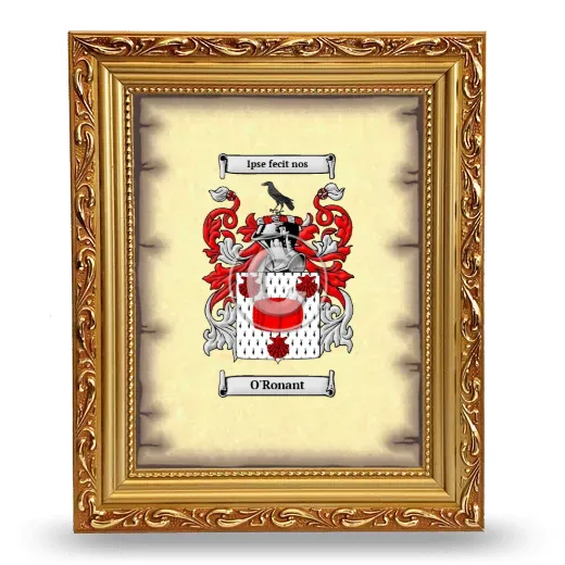 O'Ronant Coat of Arms Framed - Gold