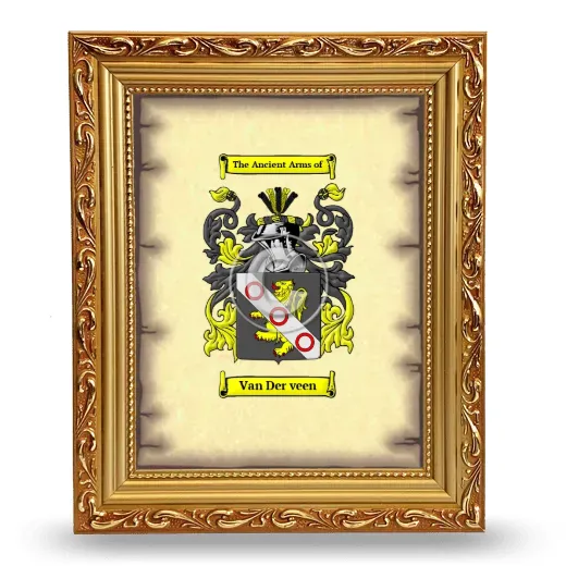 Van Der veen Coat of Arms Framed - Gold
