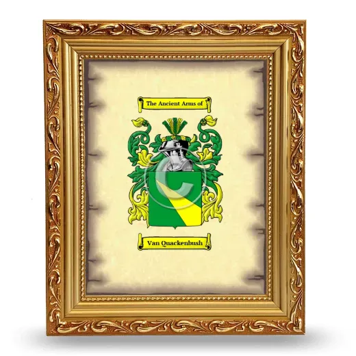 Van Quackenbush Coat of Arms Framed - Gold