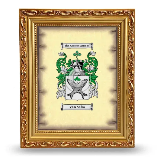 Van Salm Coat of Arms Framed - Gold