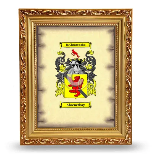 Abrenethay Coat of Arms Framed - Gold