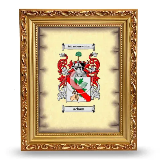 Acham Coat of Arms Framed - Gold
