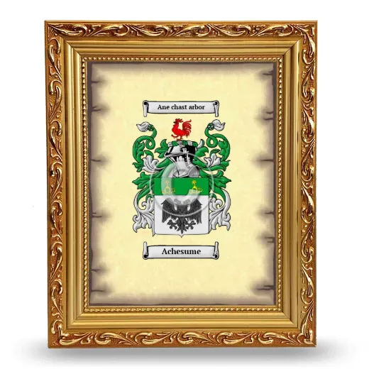 Achesume Coat of Arms Framed - Gold