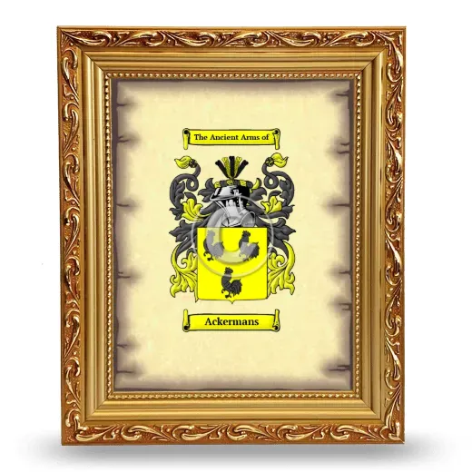 Ackermans Coat of Arms Framed - Gold